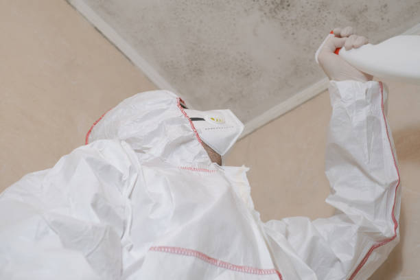 Best Toxic Mold Removal  in Josephine, TX